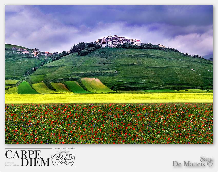 L ARRIVO DELLA FIORITURA A CASTELLUCCIO DI NORCIA.jpg